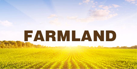 Farm Land