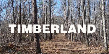 Timber Land